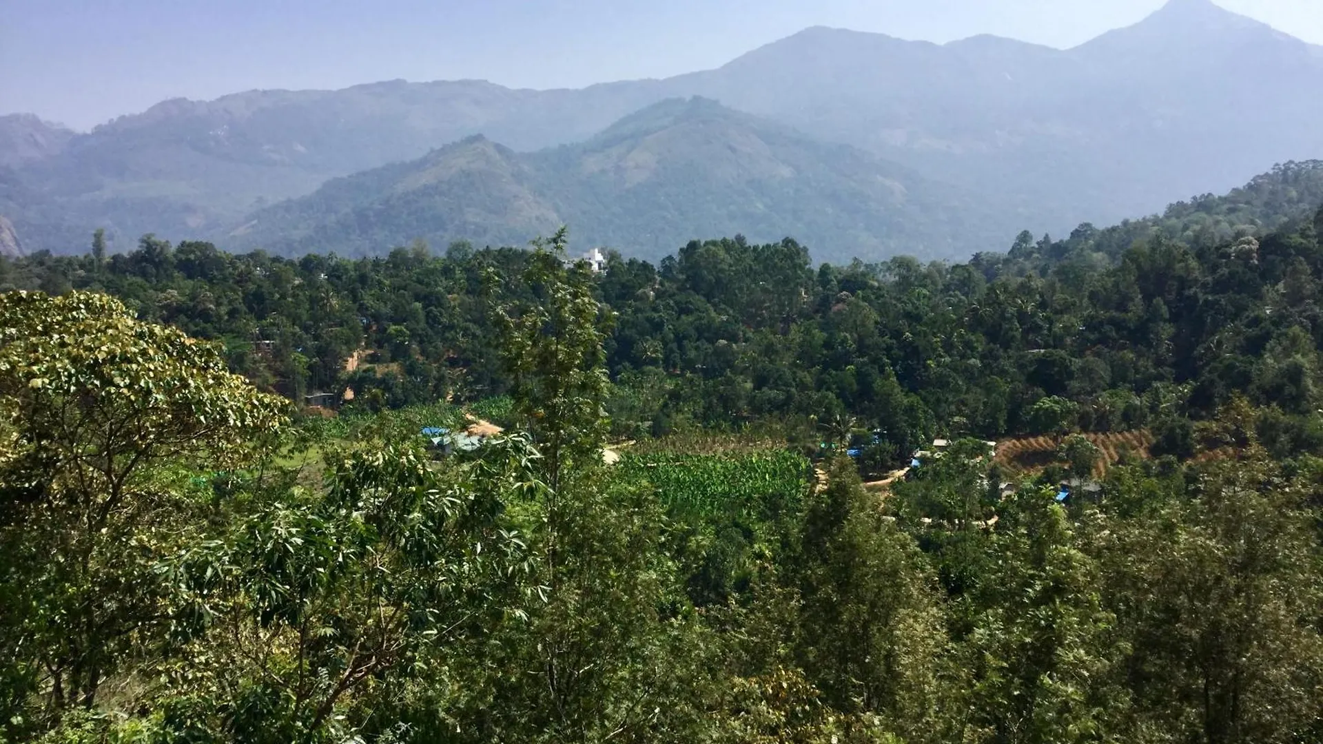 Zenha Resorts Munnar
